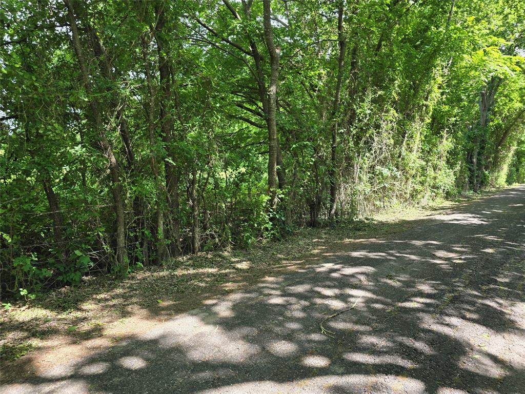 TBD County Road 1039