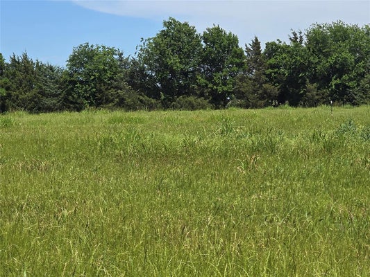 1039 PEACE AVE, MELISSA, TX 75454 - Image bdbf2fe2cfb034e2cf7a129da1bd2220/223563774