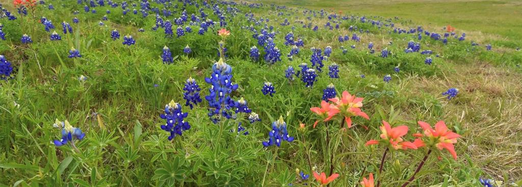 9840 Terry Meadows Lane