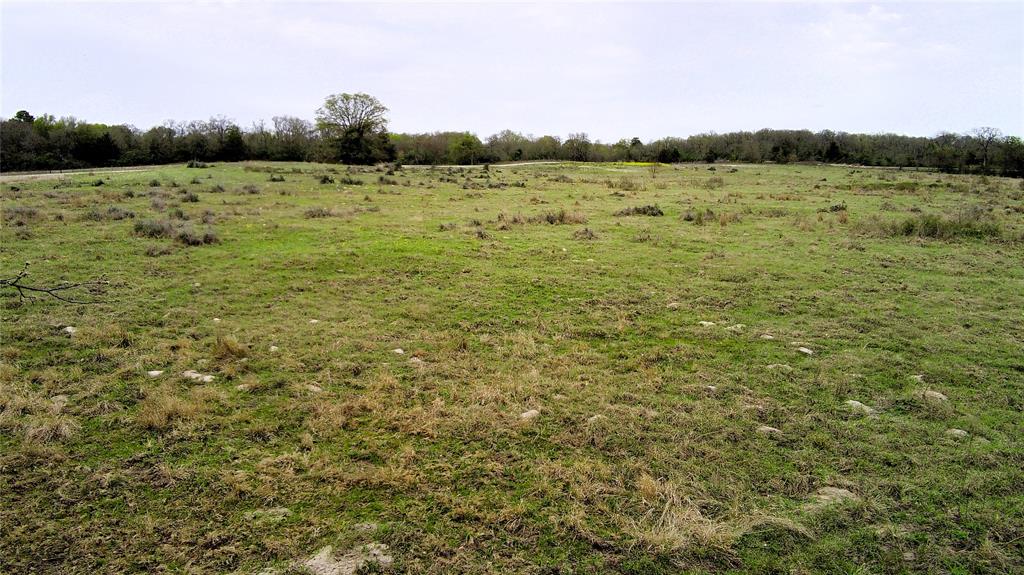 M R PALACIOS-EAST - Land