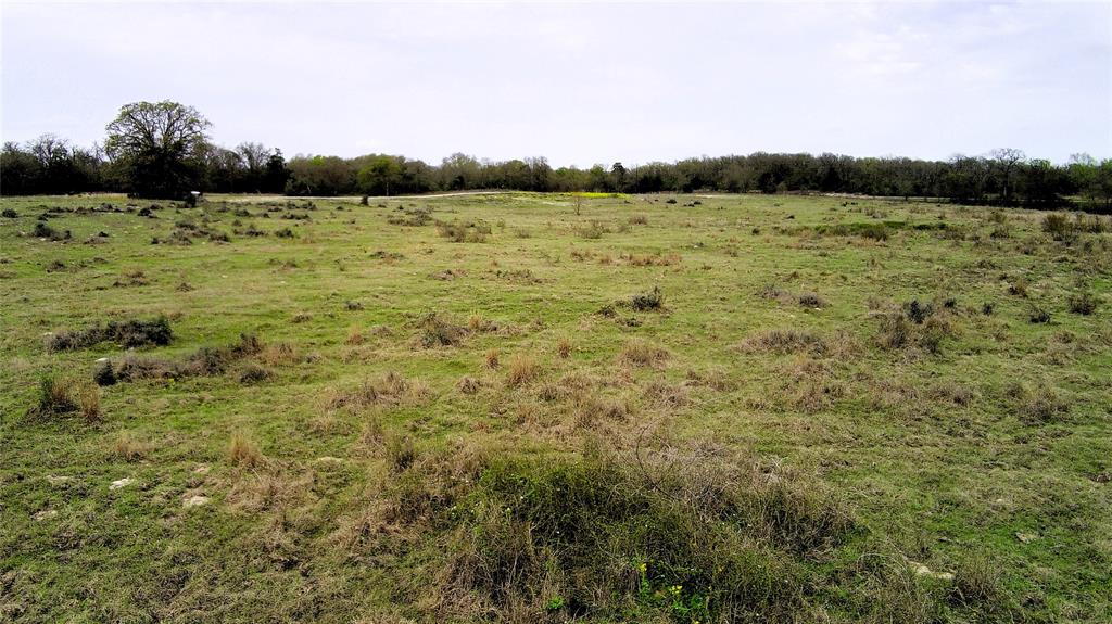 M R PALACIOS-EAST - Land