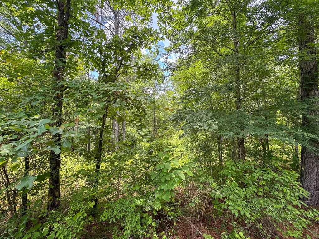 3 Posey Webb Camp Road