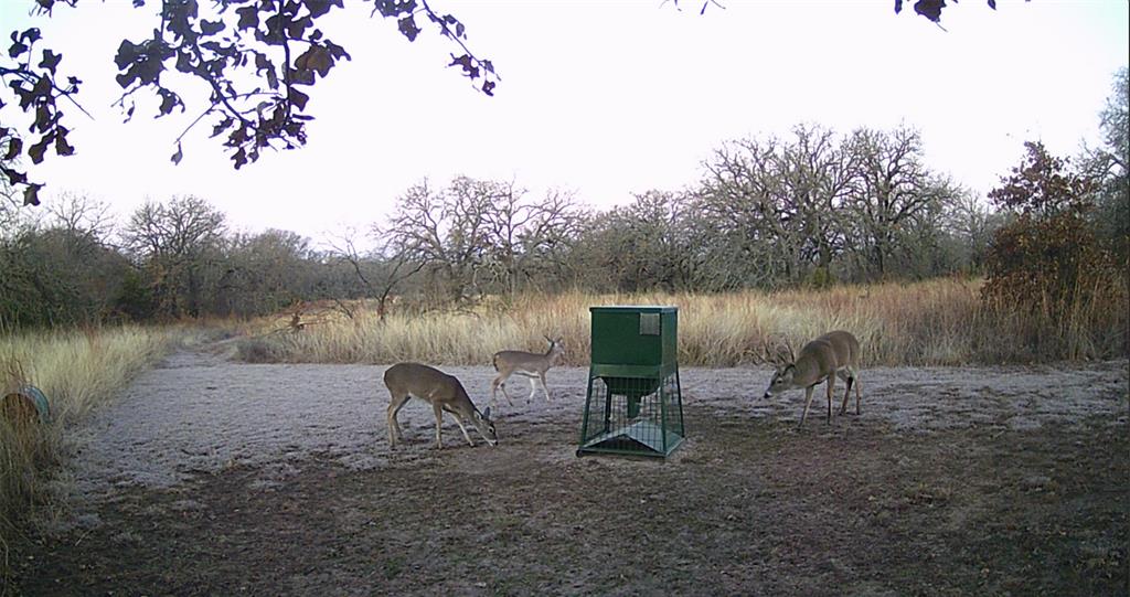 E J JOHNSON - ABST 292 - Residential