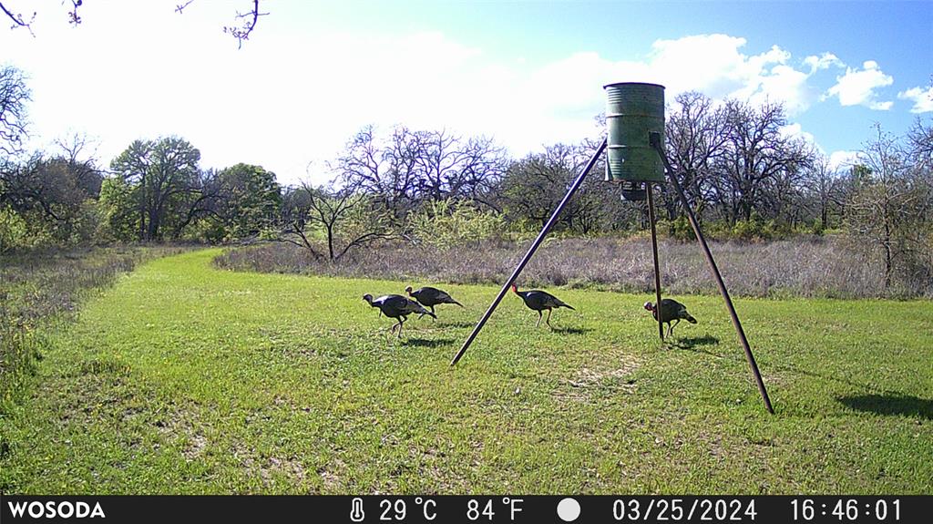 E J JOHNSON - ABST 292 - Residential