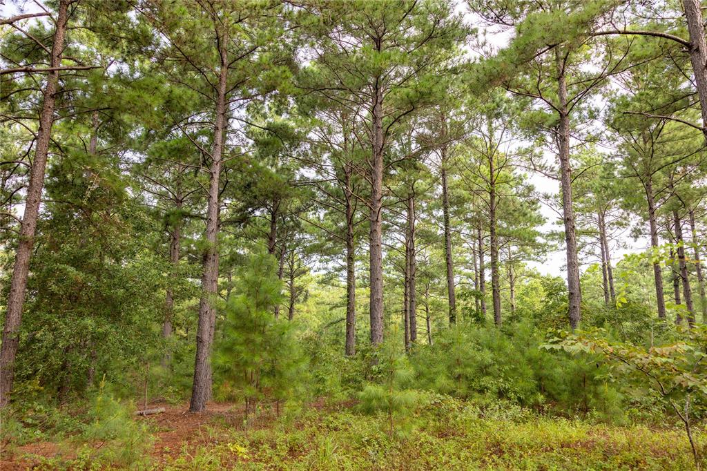Tract 8 County Road 4221