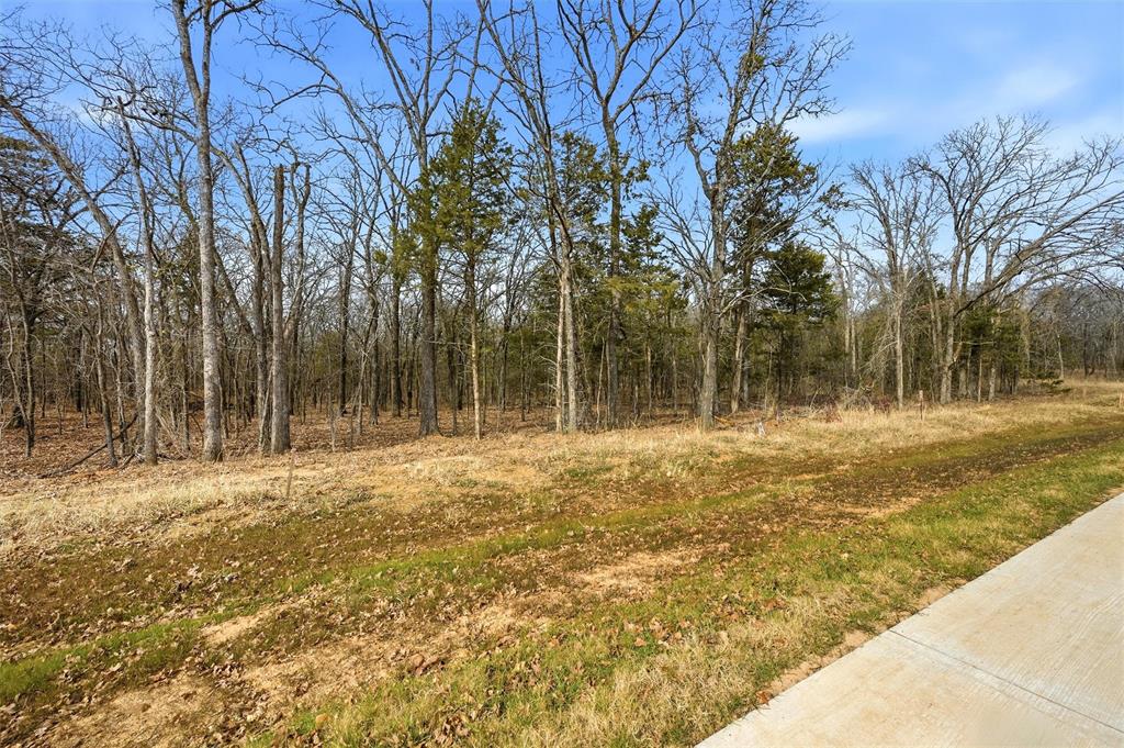 LOT 30 White Tail Way