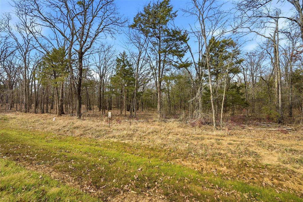 LOT 30 White Tail Way