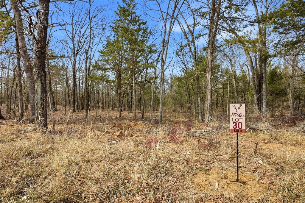 LOT 30 White Tail Way