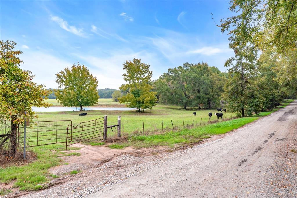1003 VZ County Road 3117