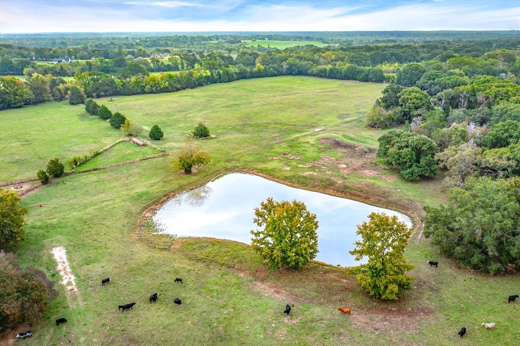 1003 VZ County Road 3117