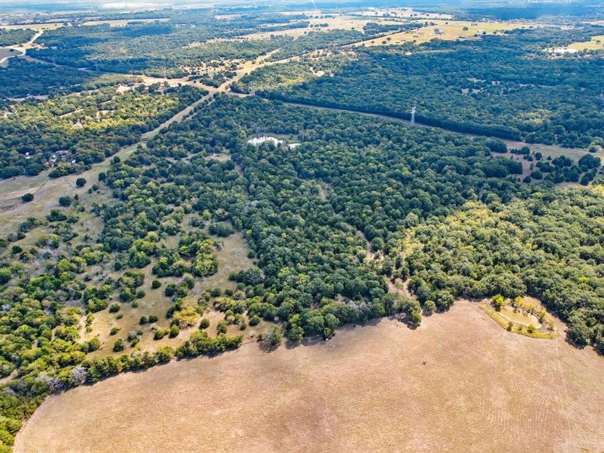 Just 30 minutes east of Dallas, this beautiful 49-acre, ag-exempt tract is part of an available 117-acre East Texas estate and offers a rare blend of natural beauty, privacy, and heritage. Gently rolling Tifton pastures are framed by multiple stocked ponds that draw wildlife year-round. Held by the same family for more than 120 years, this legacy property is fully fenced and gated and ready for its next chapter. With multiple prime build sites, it is ideal for a private ranch, equestrian estate, or forever home with panoramic country views. Additional acreage is available (MLS number 21091790) if you would like to expand your footprint and control the surrounding landscape. Bring your builder, your plans, and your vision. The possibilities here are wide open.