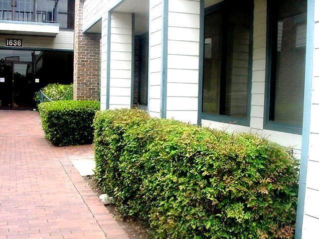 Central Irving Place - Commercial Lease