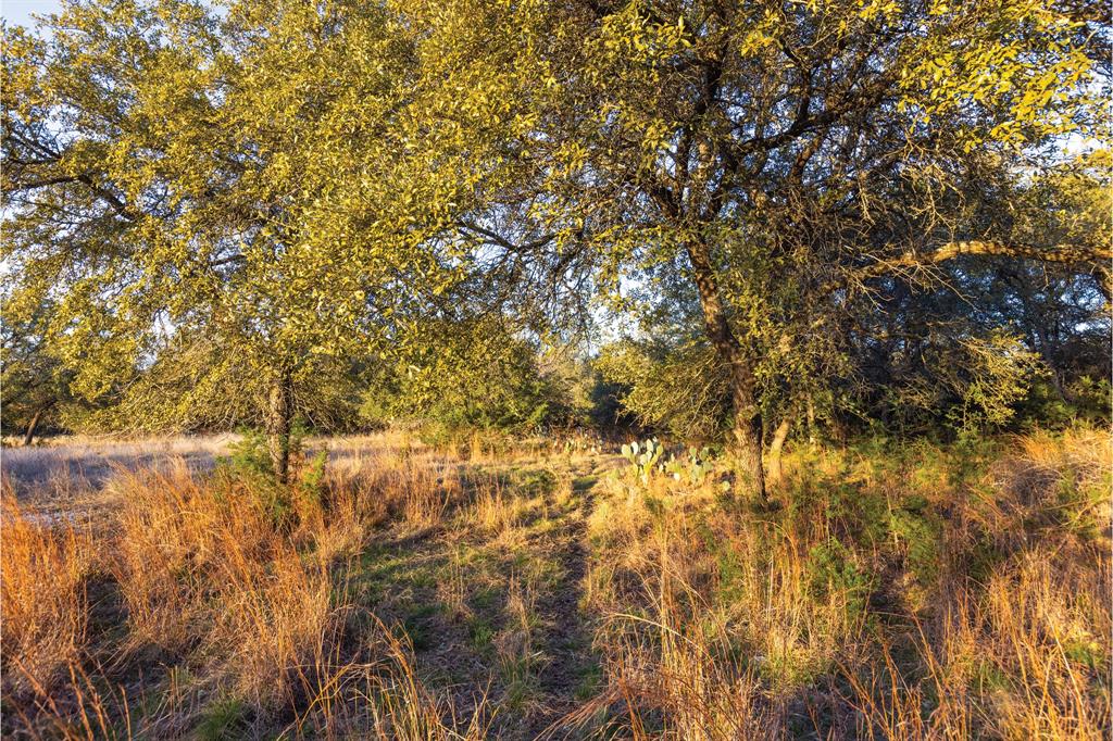 NA - Commercial Sale