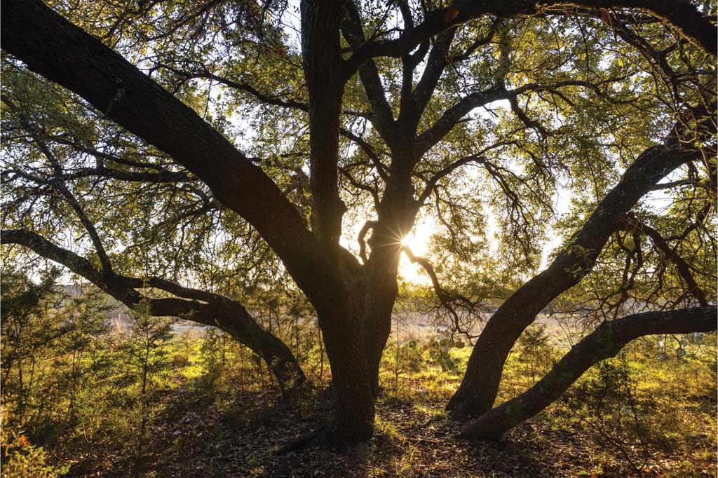 NA - Commercial Sale