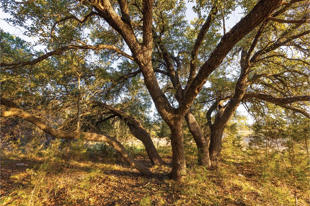 NA - Commercial Sale