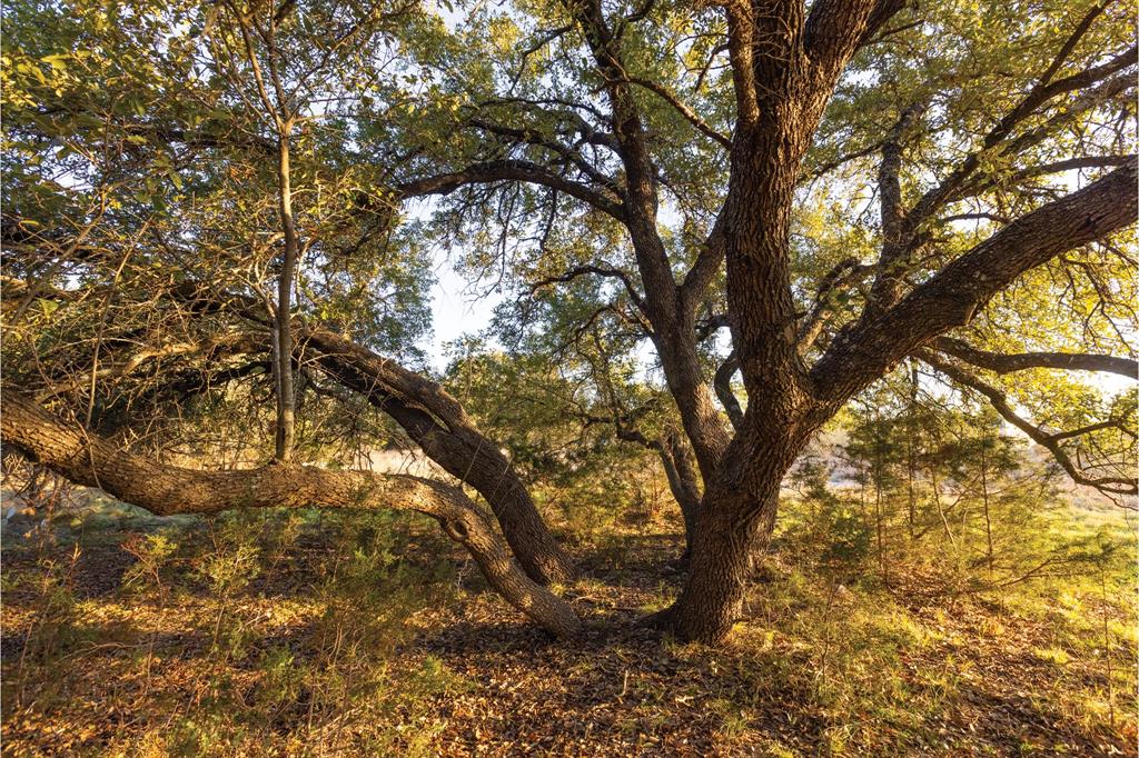 NA - Commercial Sale