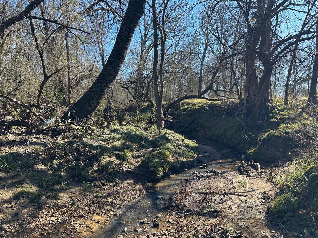 IRA Stevenson - Land