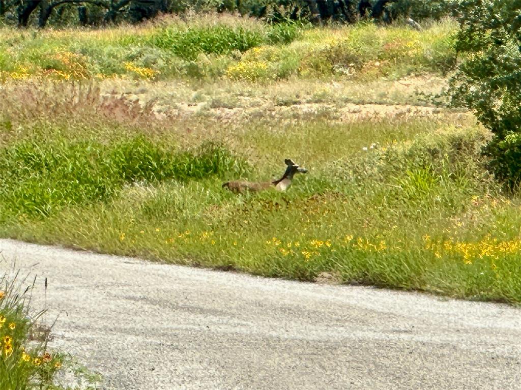 Kings Point Cove Unit 3 - Land