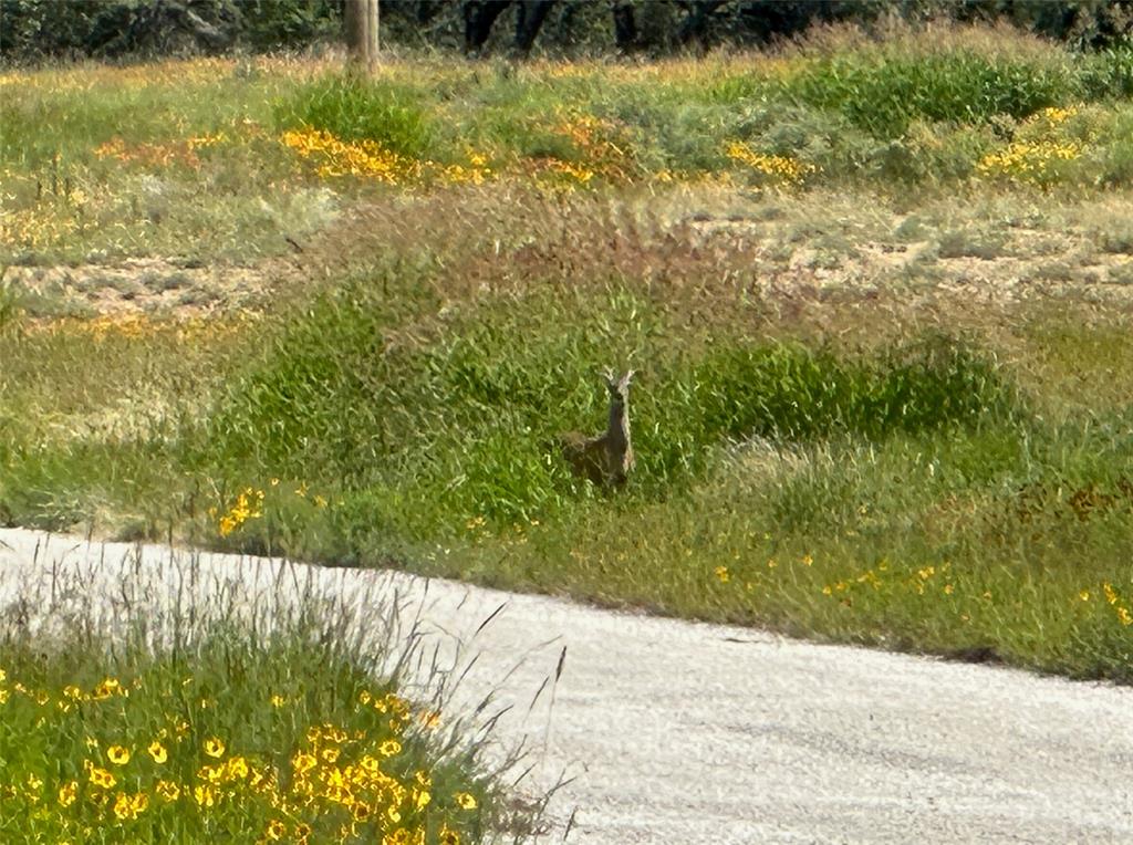 Kings Point Cove Unit 3 - Land