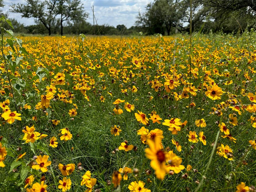 Kings Point Cove Unit 3 - Land