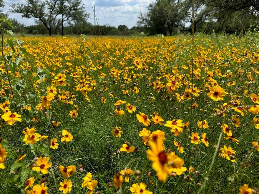 Welcome to Lot 1018 on Lake Breeze Drive, nestled in the heart of the stunning King’s Point Cove community at Lake Brownwood, Texas. Located in Unit 3 of The Hideout Golf Club & Resort, this .26-acre residential lot offers the perfect setting to build your dream home, vacation getaway, or long-term investment in one of Central Texas’ most desirable resort communities. The property is level, build-ready, and situated on a quiet paved street that ends in a peaceful cul-de-sac—ideal for privacy and minimal traffic.

This interior lot enjoys a prime location just minutes from the shores of Lake Brownwood and within walking distance or a short drive to all the resort’s amenities. Utilities are already available, including water, sewer, and electric, making the building process convenient and cost-effective. As a property owner, you'll enjoy exclusive perks, including four free rounds of golf per month at the championship 18-hole Hideout Golf Course.

Beyond golf, The Hideout offers a wide array of amenities: two resort-style swimming pools, a relaxing hot tub, two playgrounds, sand volleyball court, driving range, putting green, fishing pond, and the beautifully appointed Hideout Lodge with a restaurant and bar. On-site cabins, RV park, and the Ranch House offer convenient guest accommodations, and a private community boat dock on Lake Brownwood is coming soon, offering even more recreation right at your doorstep.

Whether you’re seeking a weekend escape, full-time residence, or a smart land investment, Lot 1018 provides the lifestyle and value you're looking for in a tranquil, resort-like environment. Don’t miss this chance to own a piece of paradise in a growing, lakeside golf community!