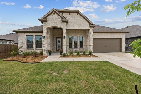 2293 High Plain Lane Waxahachie TX 75167