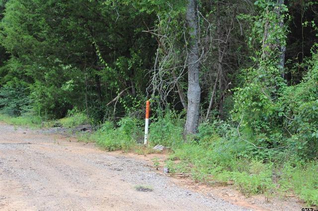 TBD Loop 456 - 14.73 acres