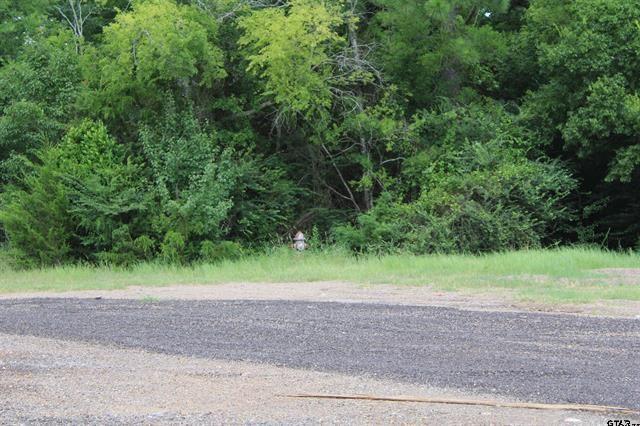 TBD Loop 456 - 14.73 acres