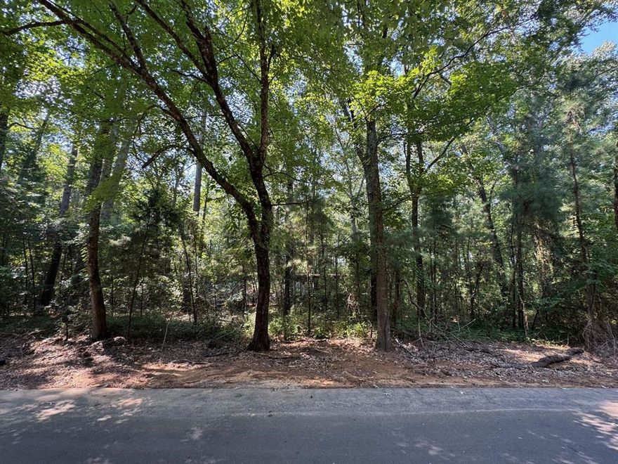 Come make this your new homesite. This land would make the perfect place for a mobile home or site-built home. The peace you feel when you walk the property, makes you want to stay. It sits at the end of the road and is super private. There is an old mobile home on the property that would need to be cleaned up. There is electric, gas and water on site. Buyer would need to add their own septic. This place is ready for its new owner. Here is your chance to own a piece of privacy of your own. Closing will be held at Bayou Title in Bossier City, La.