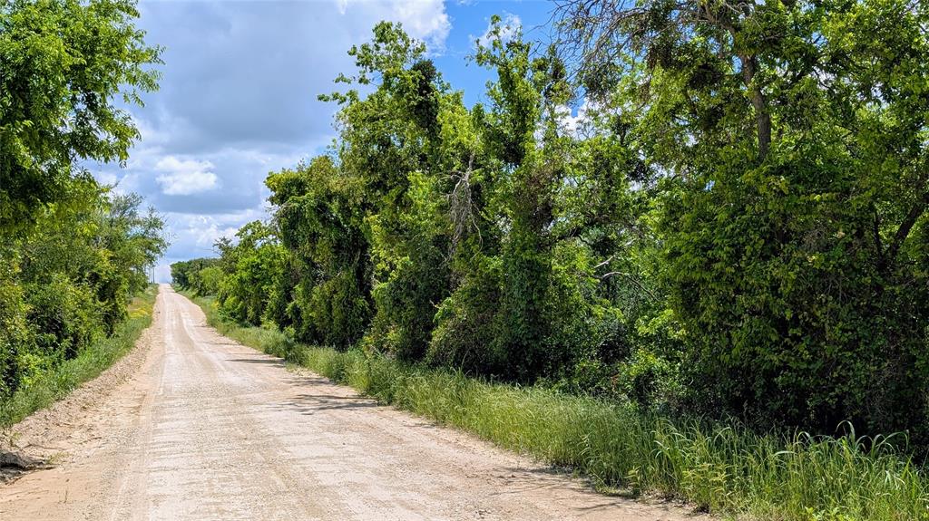 1300 County Road 394