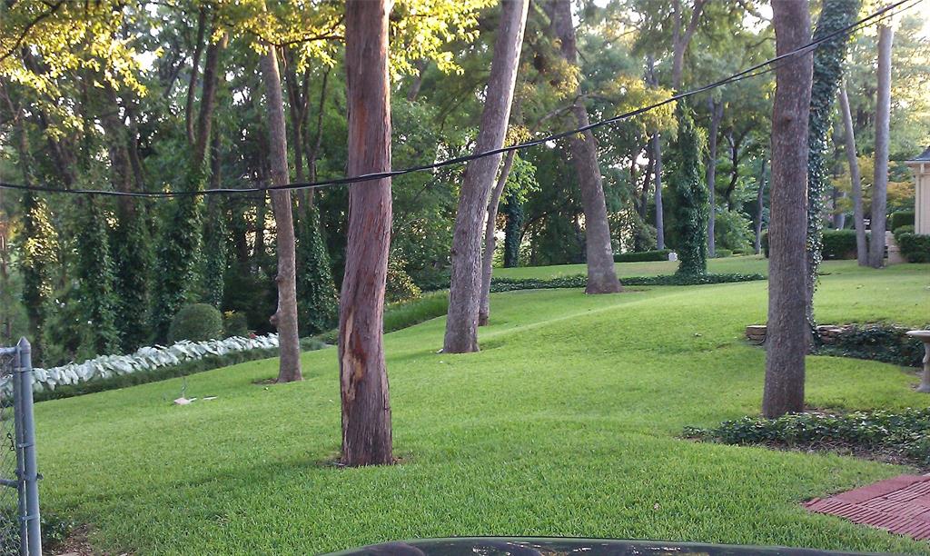 Wynnewood Hills Rev - Residential