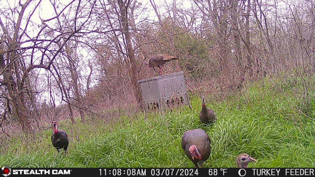 67.5 ac. TBD Sundown Drive