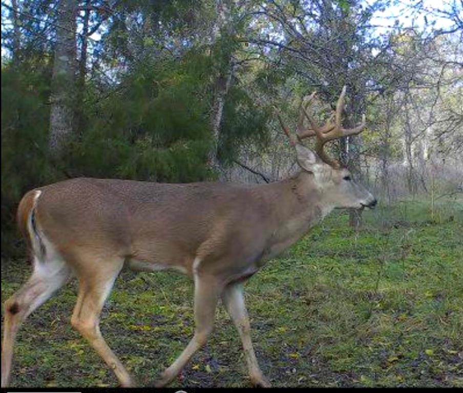 67.5 ac. TBD Sundown Drive