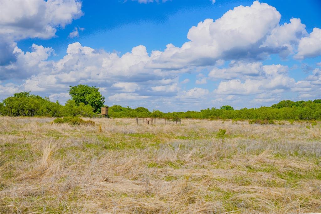 Jacksboro - Farm