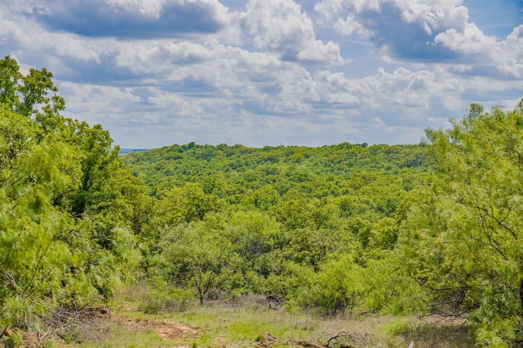 Jacksboro - Farm