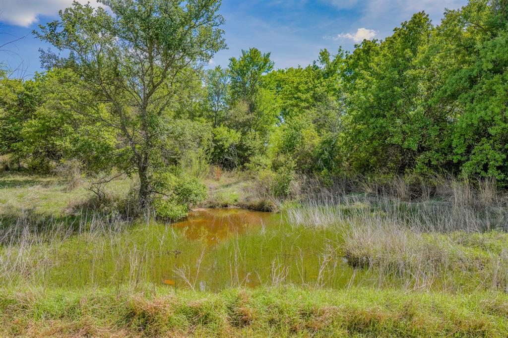 Jacksboro - Farm