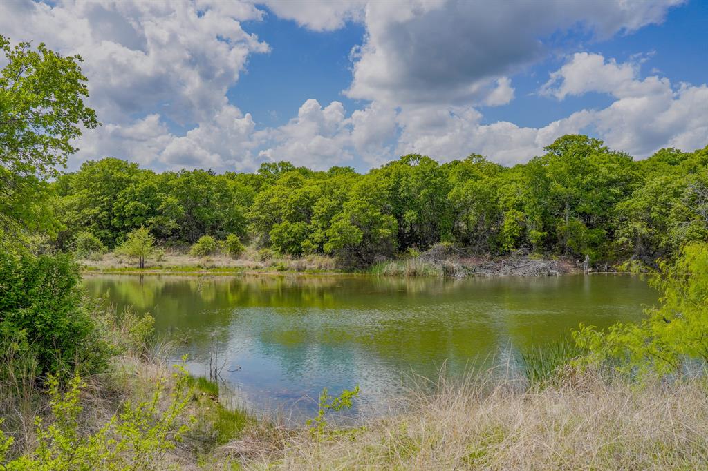 Jacksboro - Farm