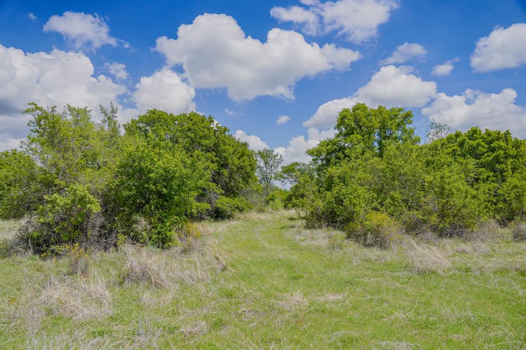 Jacksboro - Farm