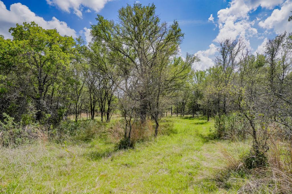 Jacksboro - Farm