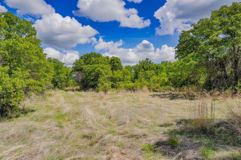 Jacksboro - Farm