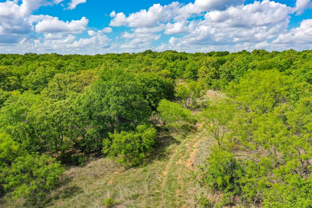 Jacksboro - Farm