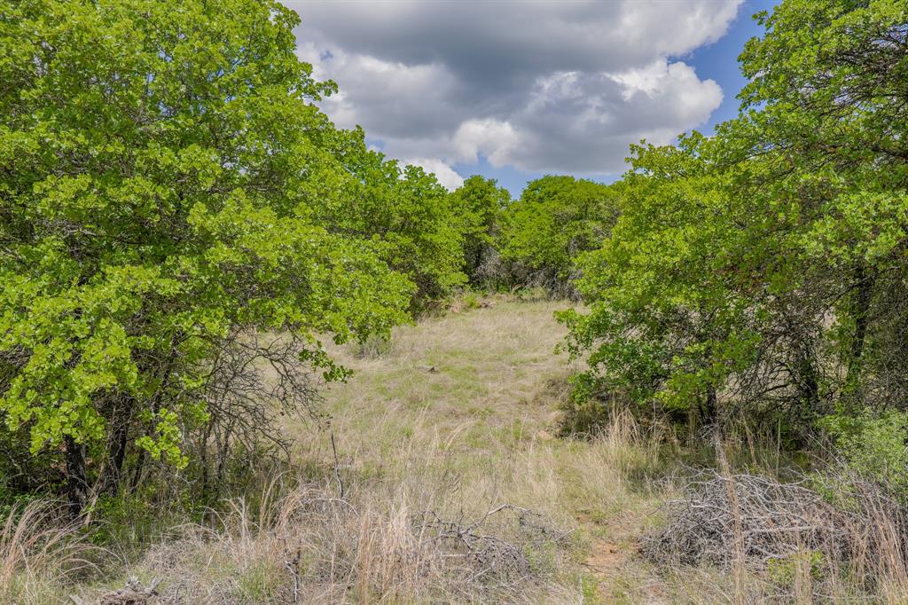 Jacksboro - Farm