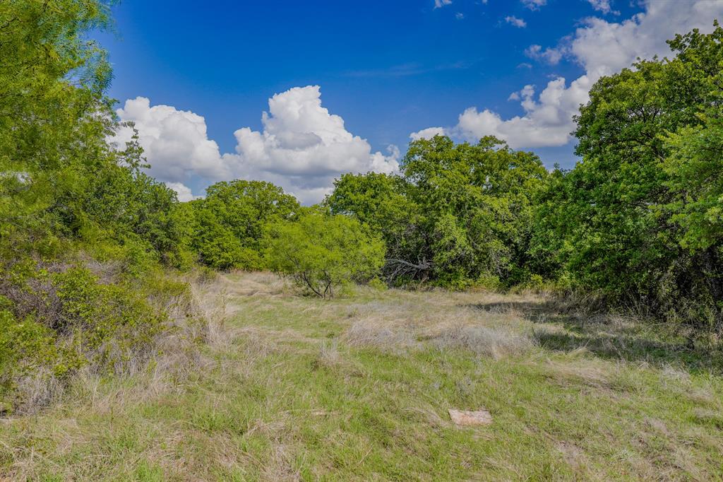 Jacksboro - Farm