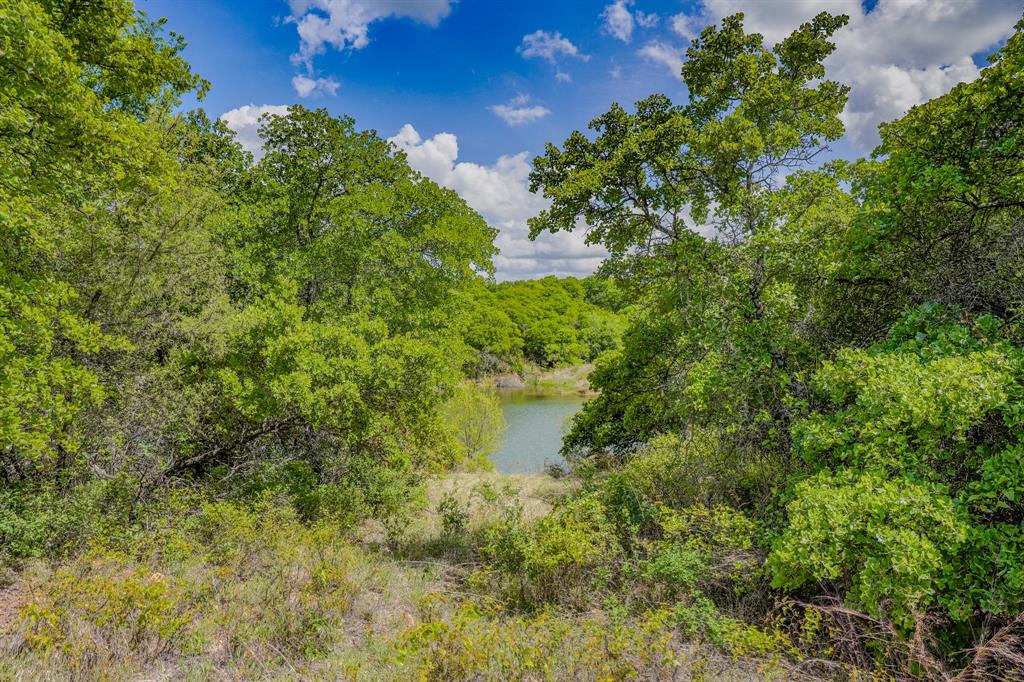 Jacksboro - Farm