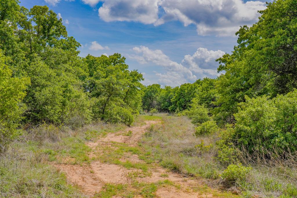 Jacksboro - Farm