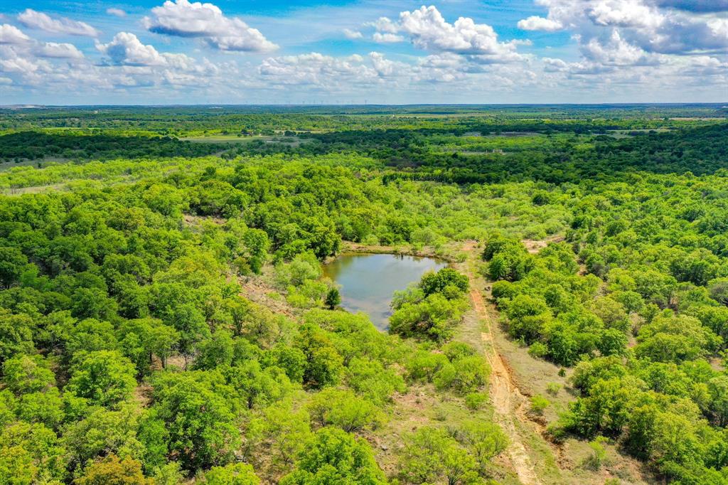 Jacksboro - Farm