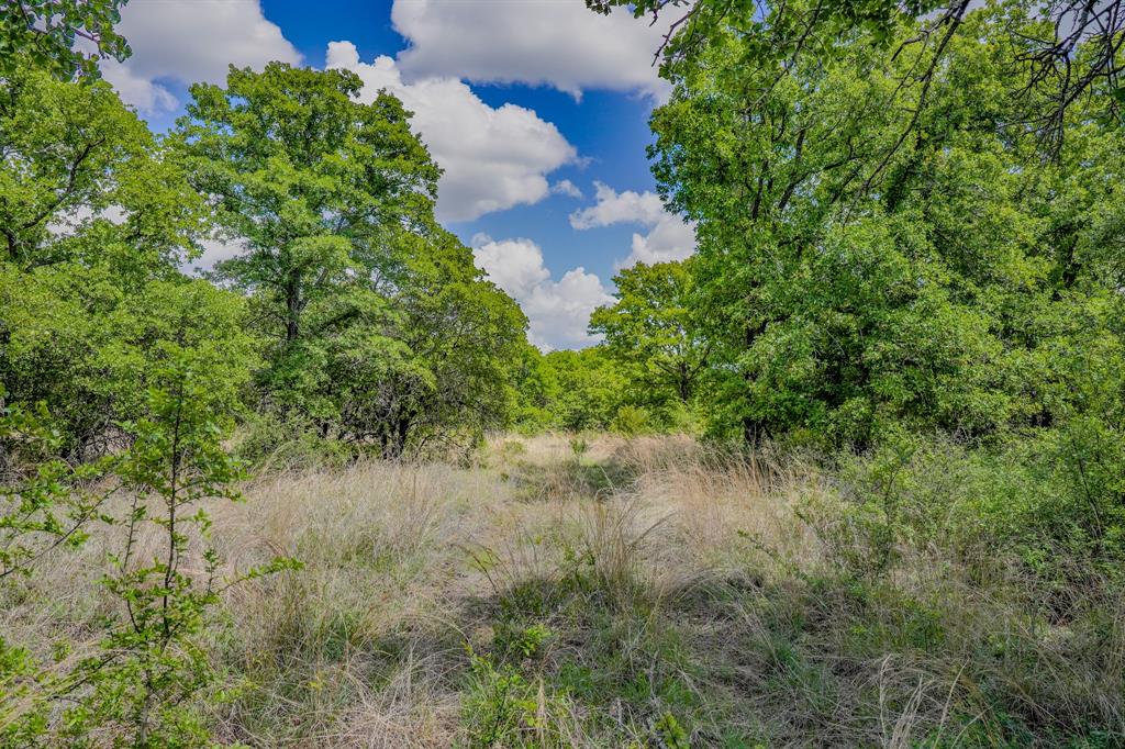 Jacksboro - Farm