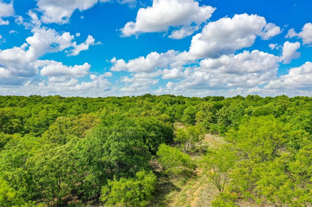 Jacksboro - Farm