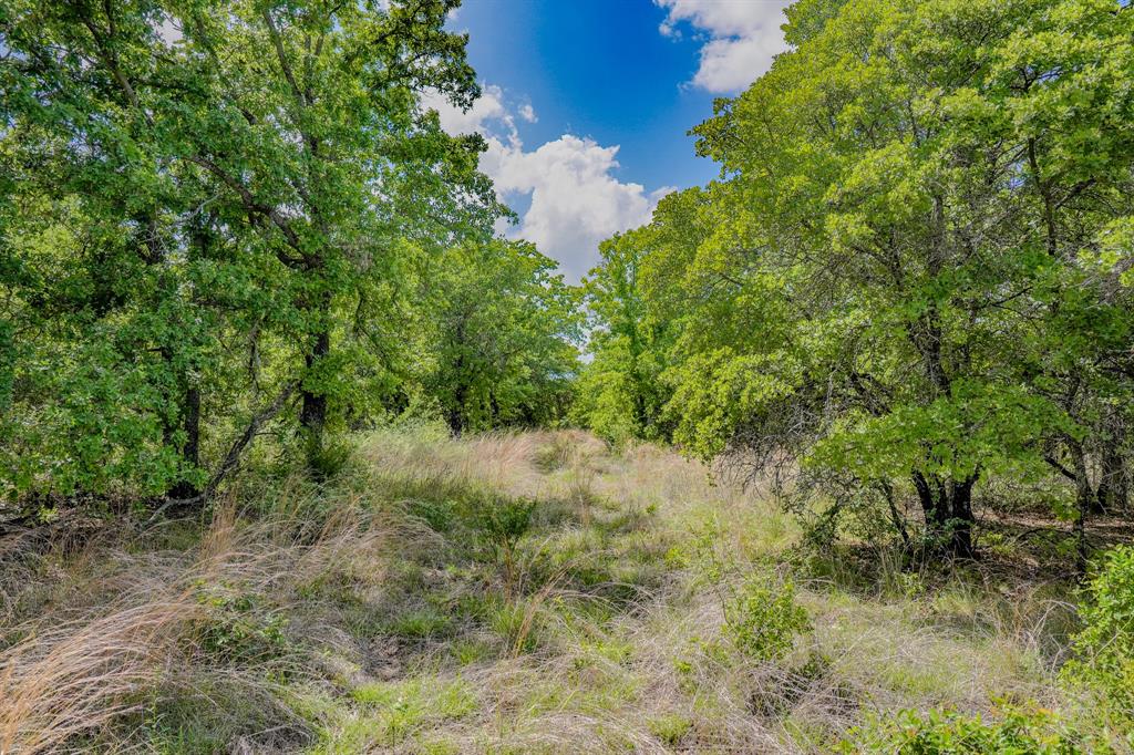Jacksboro - Farm