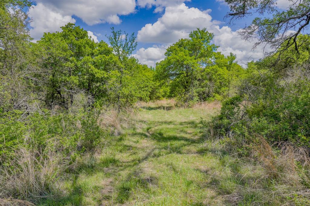 Jacksboro - Farm